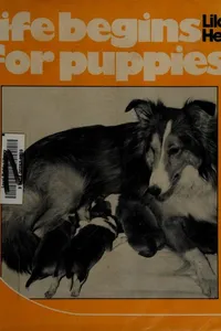 Life begins for puppies