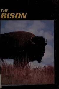 The bison