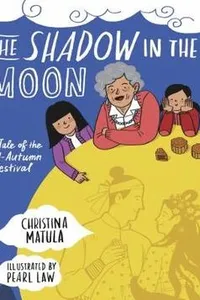 The shadow in the Moon