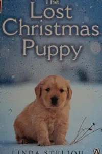 The lost Christmas puppy