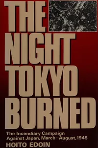 The night Tokyo burned