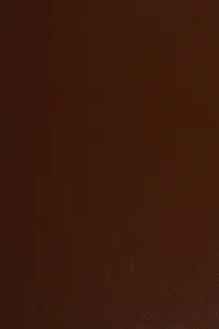 Evolution of the synagogue