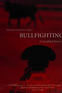 Bullfighting