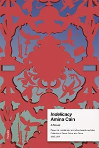 Cover of Indelicacy