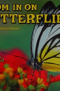 Zoom in on Butterflies