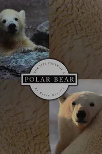 The life cycle of a polar bear