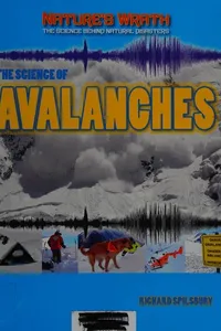 The science of avalanches