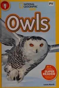 Owls
