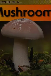 Life cycle of a mushroom