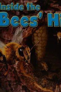 Inside the bees' hive