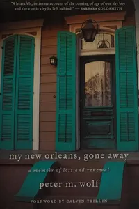My New Orleans, gone away
