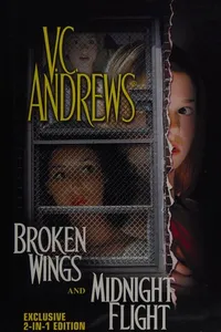 Broken wings & midnight flight