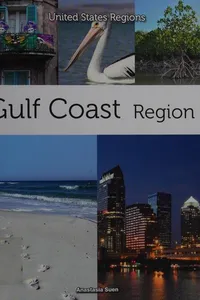 Capa de Gulf coast region