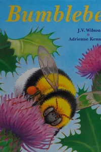 Cover of Bumblebee