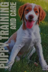 Puppy training and care