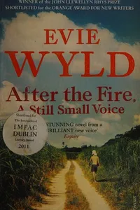 After the fire, a still small voice
