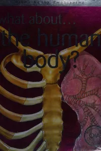 What about the human body?