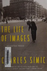 The life of images