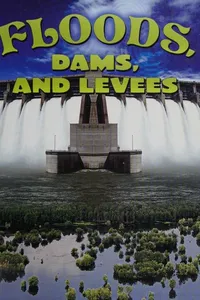 Floods, dams, and levees