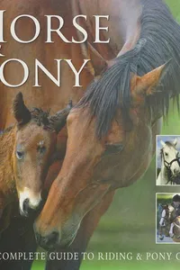 Horse & pony