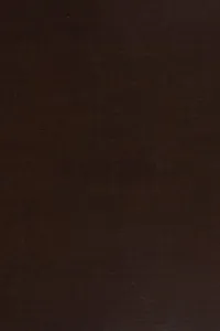 Pearl Harbor as history: Japanese-American relations, 1931-1941