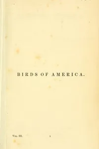 The Birds of America Vol. III