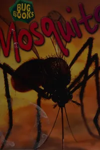 Mosquito