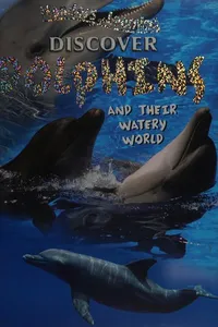 Discover dolphins