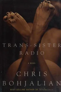 Trans-sister radio