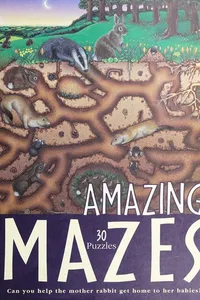 Amazing mazes
