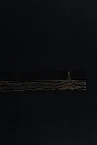 The American petroleum industry