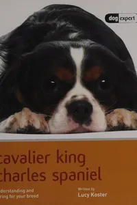 Cavalier King Charles Spaniel