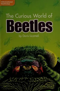 The curious world of beetles