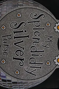 My splendidly silver purse