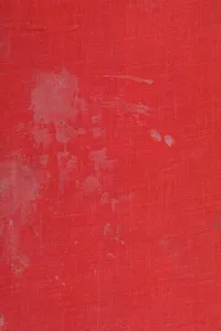 The pony that didn't grow