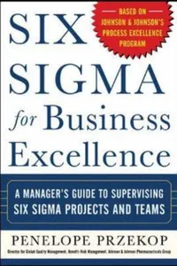 Six Sigma for Business Excellence