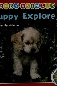 Puppy explores