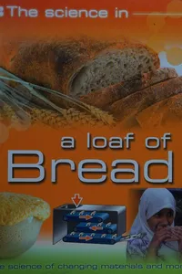The science in - a loaf of bread