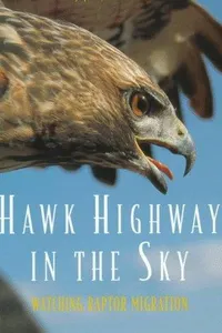 Cover of Hawk Highway in the Sky by Caroline Arnold