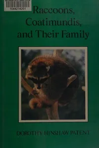 Capa de Raccoons, coatimundis, and their family