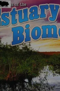 Seasons of the estuary biome