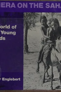 Camera on the Sahara