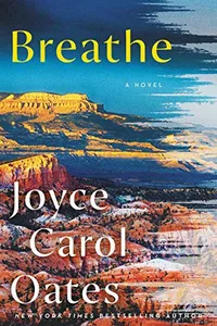 Capa de Breathe