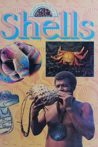 Capa de Shells