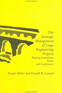 The strategic management of large engineering projects