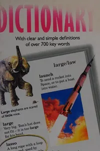 Dictionary