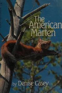 The American marten