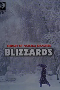 Blizzards