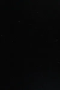 Dreiser - a collection of critical essays