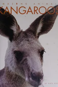 Cover of Kangaroos